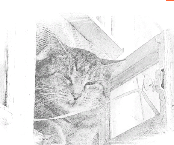 Источник :  Яндекс  картинки. 