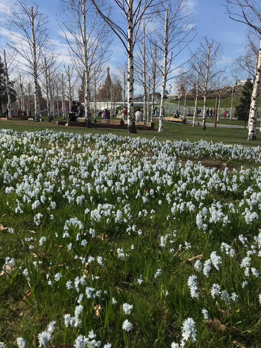 Фото автора статьи