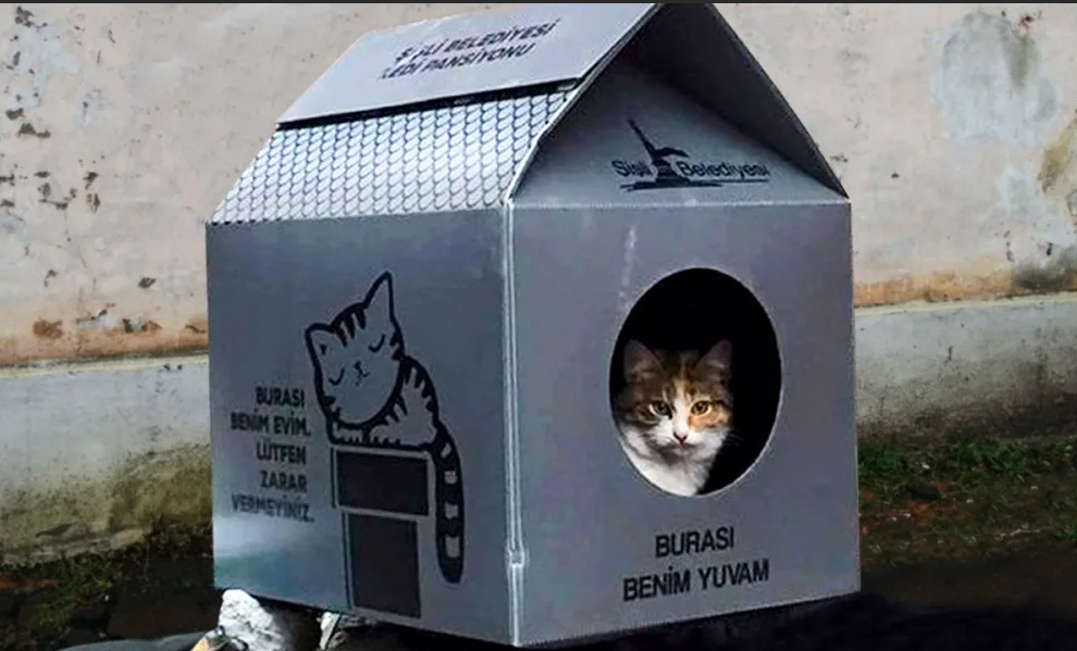 Домики для кошек в турции на улице