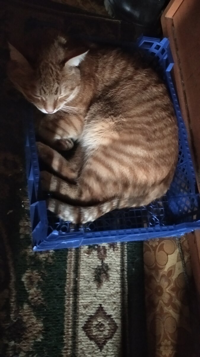 Личное  фото