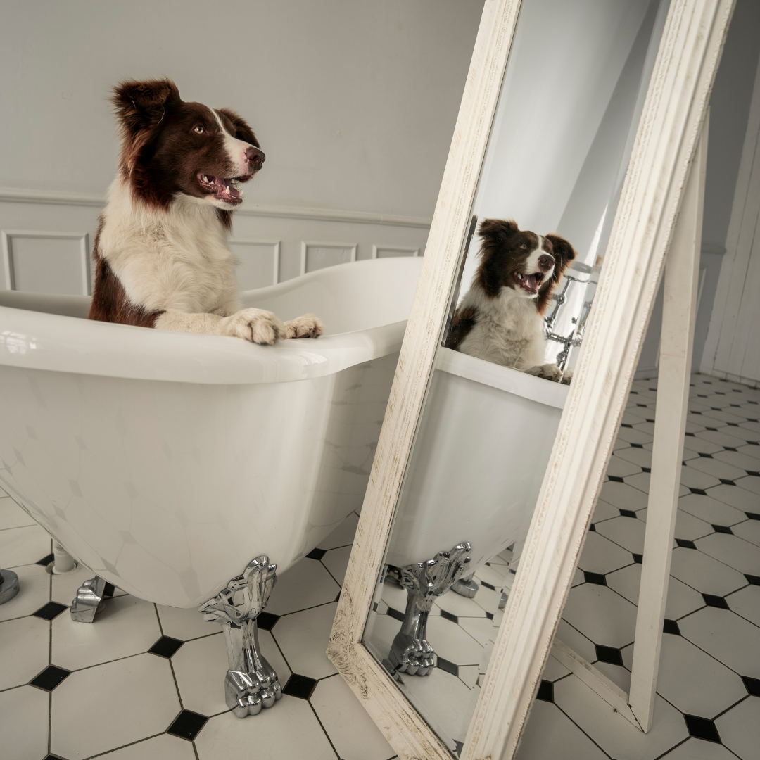 Источник фото: Canva
