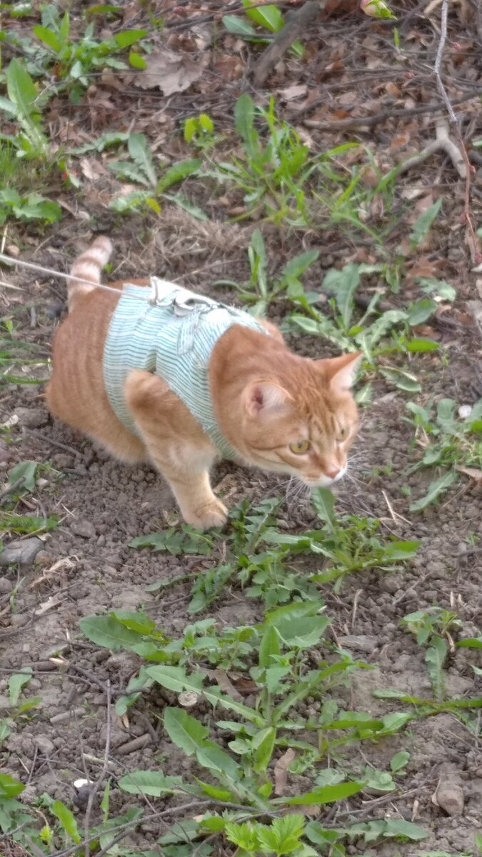 Личное  фото. 