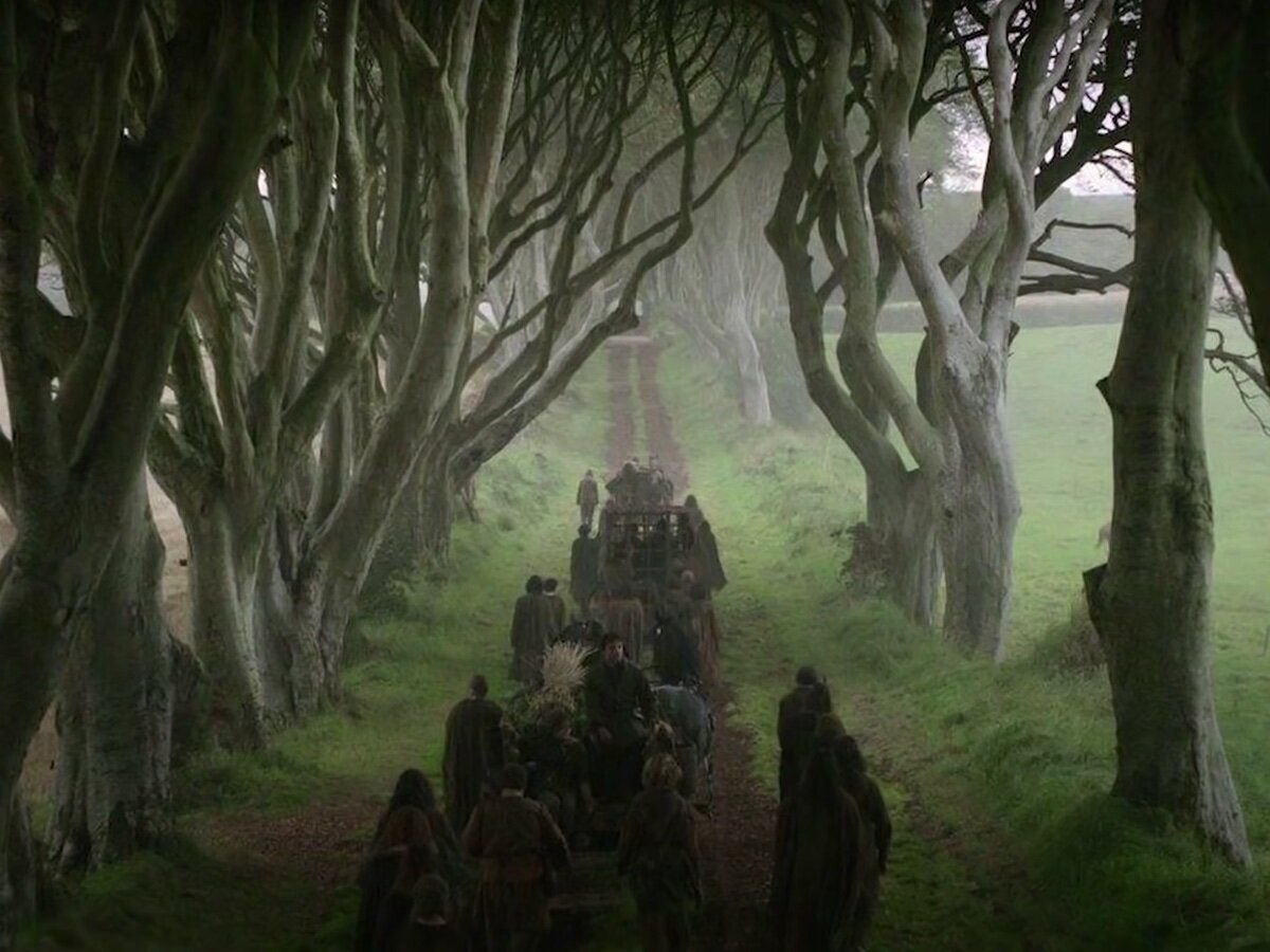 Буковая аллея, Ирландия, игра престолов.