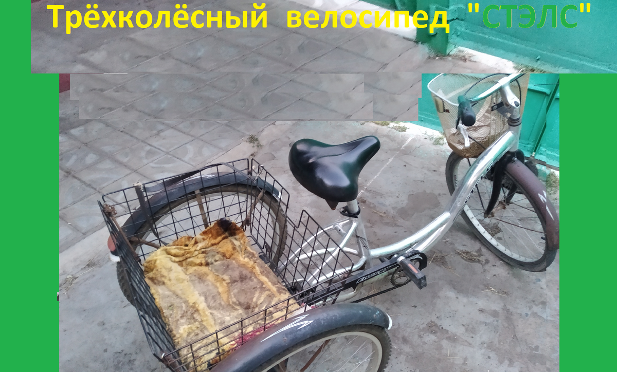 велосипед сент1 - ОБЛ.png