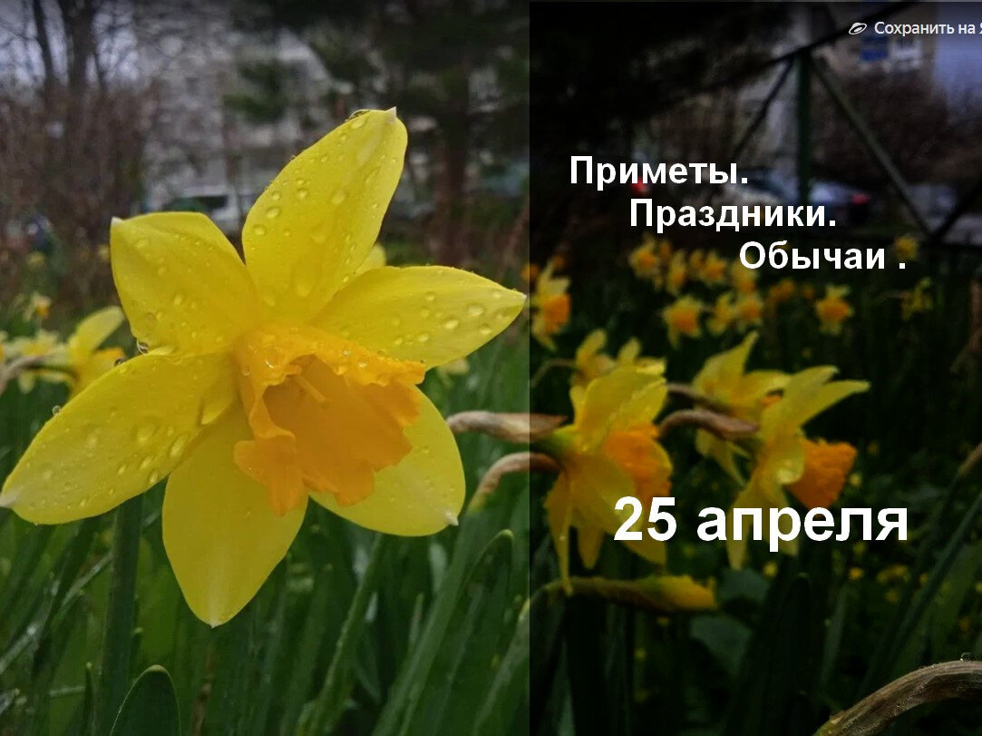 Приметы на 25 июня 2024 года