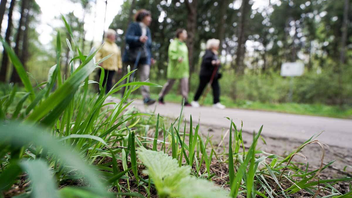    Фото: Пелагия Тихонова / АГН Москва