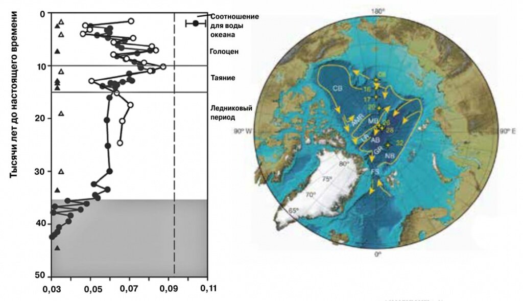 В глубинах под полярной шапкой (справа) есть несколько холодных течений, которые огибают подводные возвышенности, вроде хребта Ломоносова (LR), но в конце концов вытекают через пролив Фрама (FS). Этот путь занимает несколько столетий, в течение которых из воды выпадают твердые частицы с осевшими на них слаборастворимыми элементами, в частности, торием и протактинием. Интересно (слева), что соотношение тория-230 и протактиния-231 в осадках на дне Северного Ледовитого океана остается почти постоянным все 20 тысяч лет господства ледника. А во время его таяния и наступившего затем голоцена оно испытывает сильные колебания. Значит, либо потоки твердых частиц с суши, либо сами потоки глубинных вод из Ледовитого океана в Атлантику становятся сильно переменными на вековых масштабах времени (из S.S. Hoffman e. a., «Nature», 2013, 497, 603)