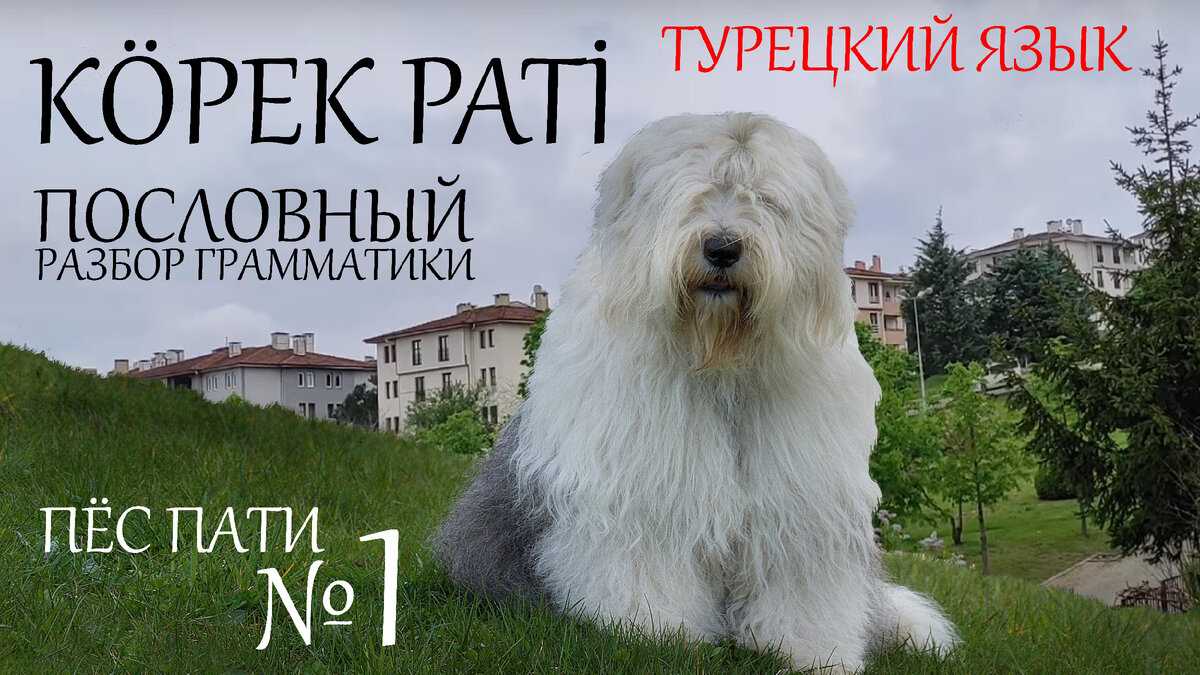 рассказ на турецком языке по частям с подробным грамматическим разбором
