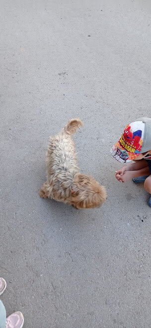 наша Флеша.