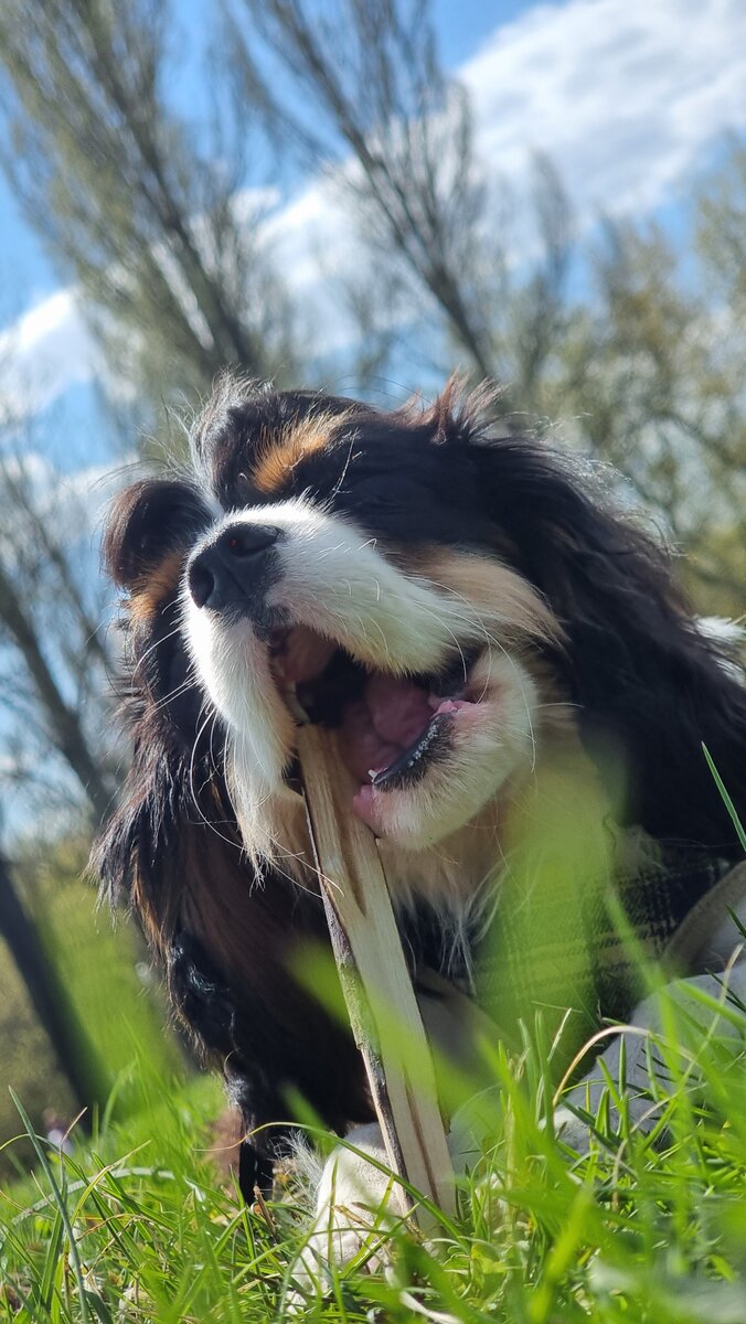 я на прогулке в парке