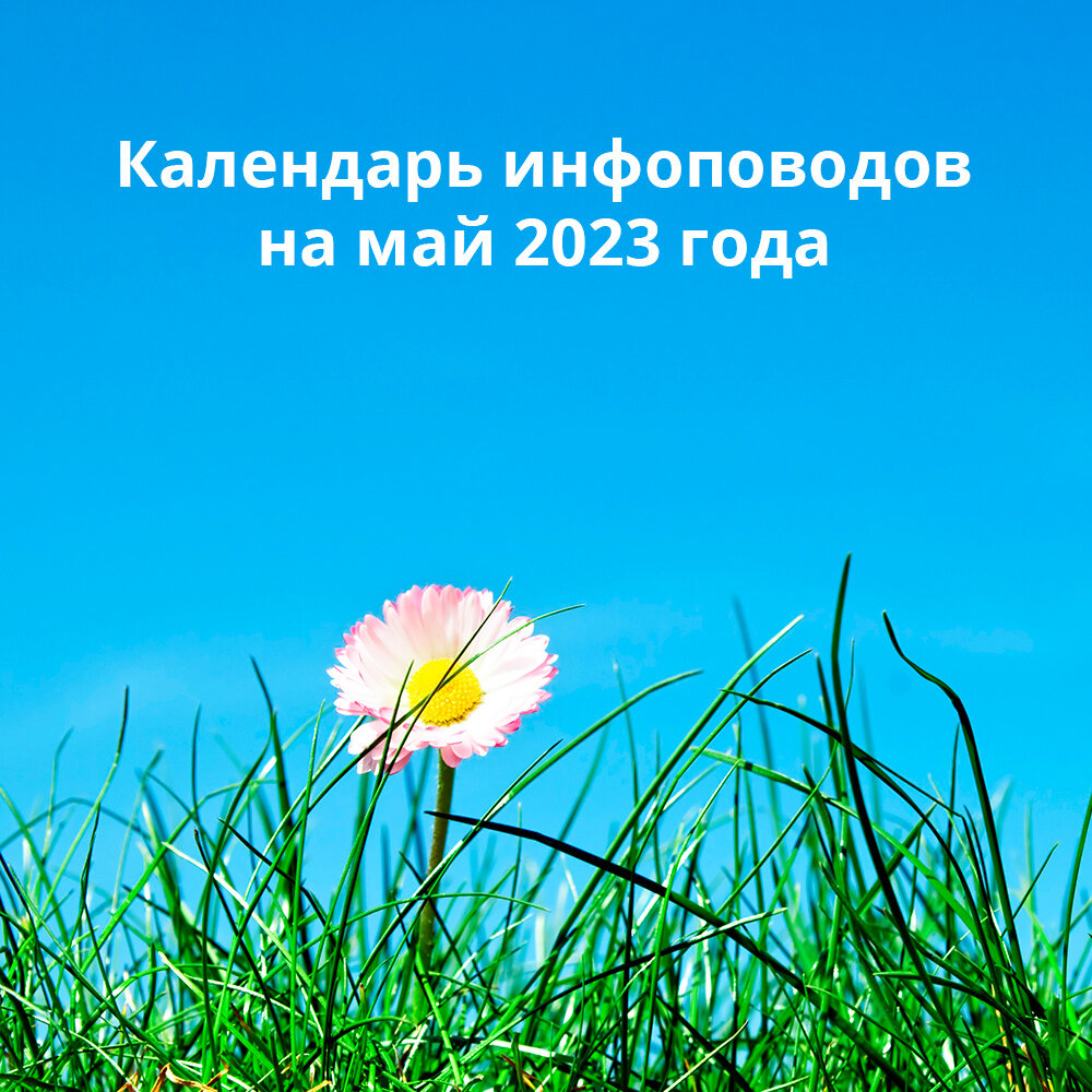 Календарь инфоповодов на май 2023 года | Денис Каримов | Дзен