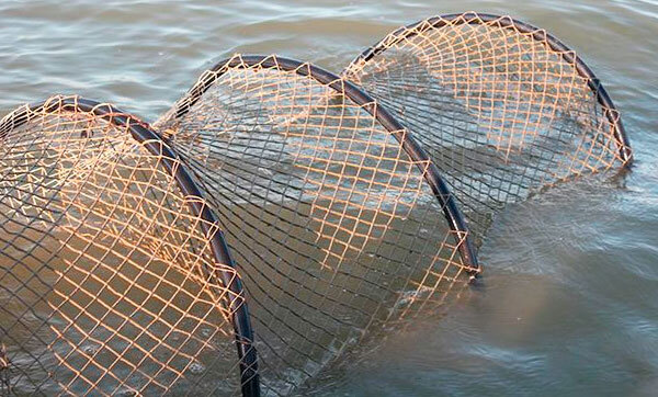 Рыболовные Сети | Раколовки | Пауки для Рыбалки
