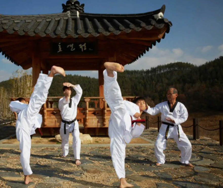 Южная Корея тхэквондо. Taekwondo Северная Корея. Тхэквондо корейское боевое искусство. Боевые искусства Кореи.
