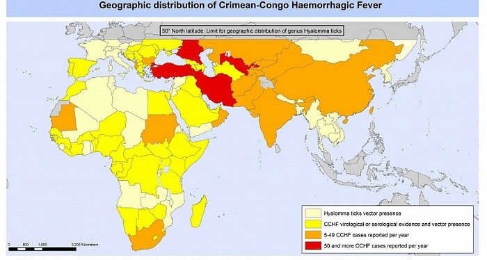 Лихорадка крым конго фото