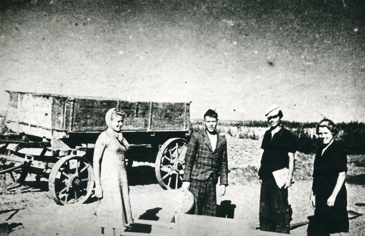 Студенты и сотрудники ЛЭТИ за работой в колхозе.