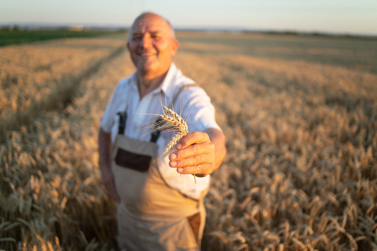 Дедушка с внуком на плечах. Дедушка с цветами. Дедушка и внук. Дедушка с внуком картинки. Дед поле.