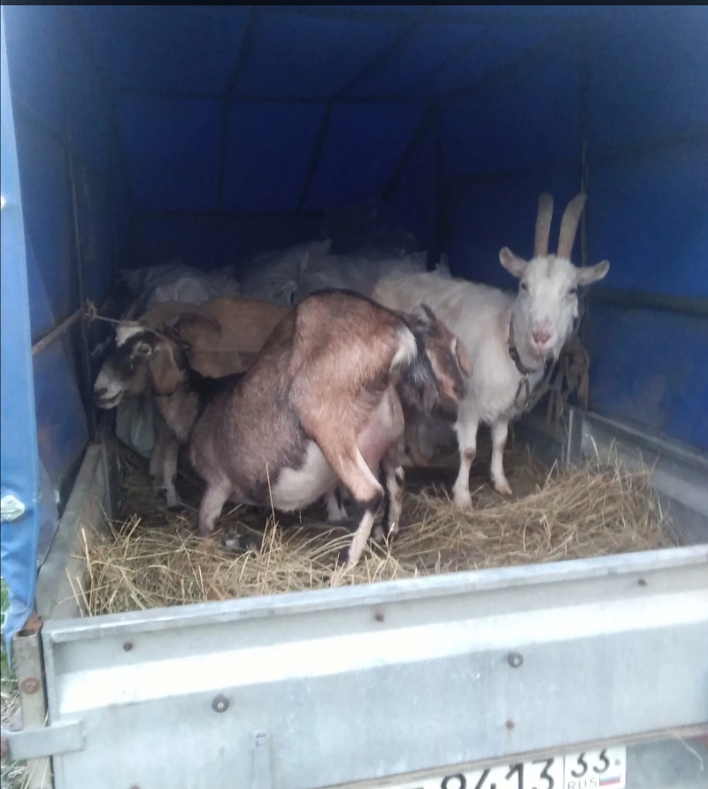 Фото автора. 