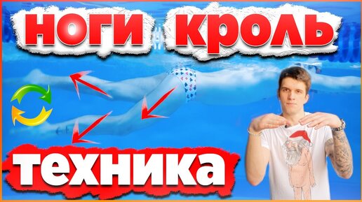 Все о работе НОГ В КРОЛЕ