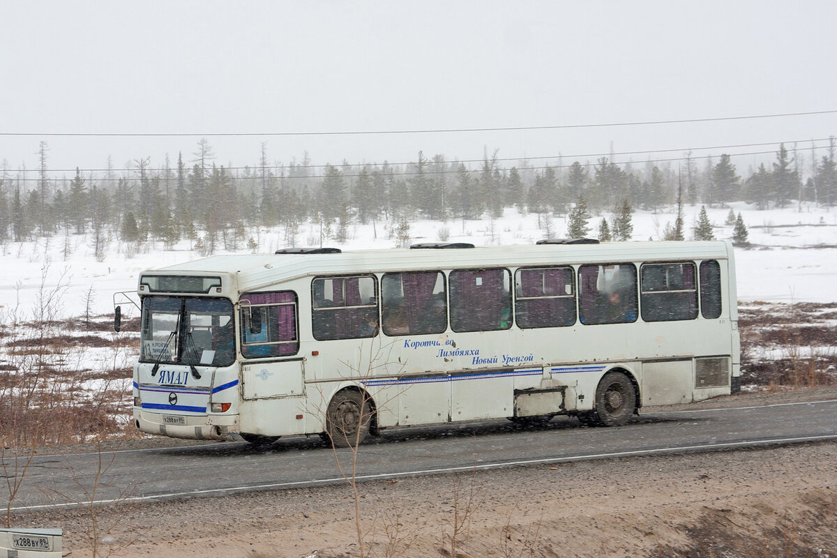 Мупат новый уренгой. ЛИАЗ 52563. Автобус ЛИАЗ 52563r Красновишерский. Автобус ЛИАЗ 52563r Красновишерский Красновишерск-Соликамск. Автобус ЛИАЗ 52563r красная.