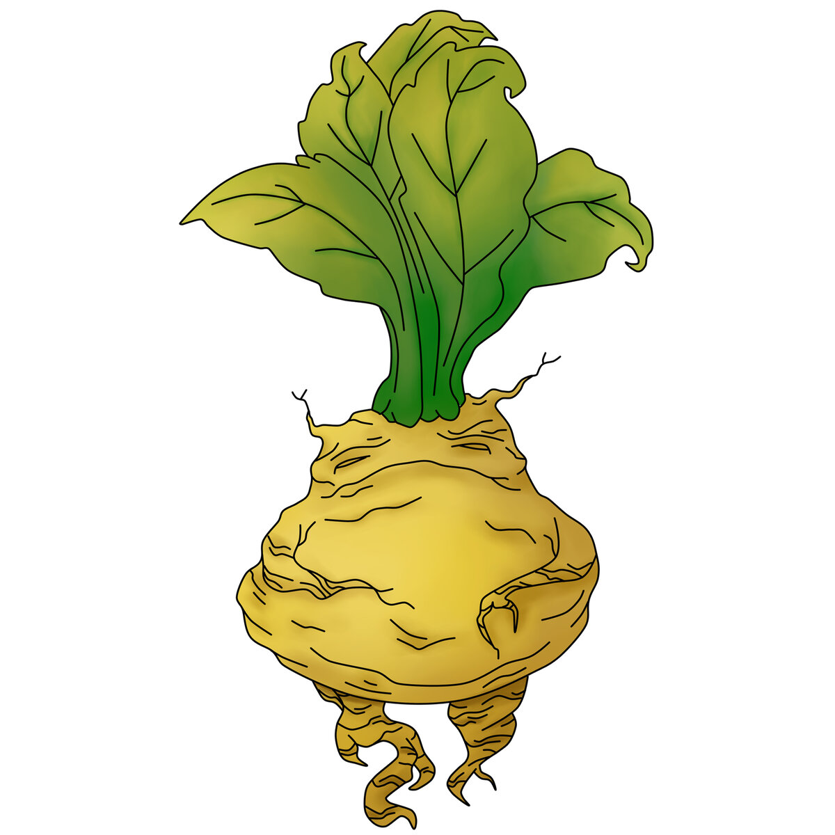 Живопись Регины Загировой для игры «Отвары без отравы!»: https://aaa-studio.itch.io/pnp.