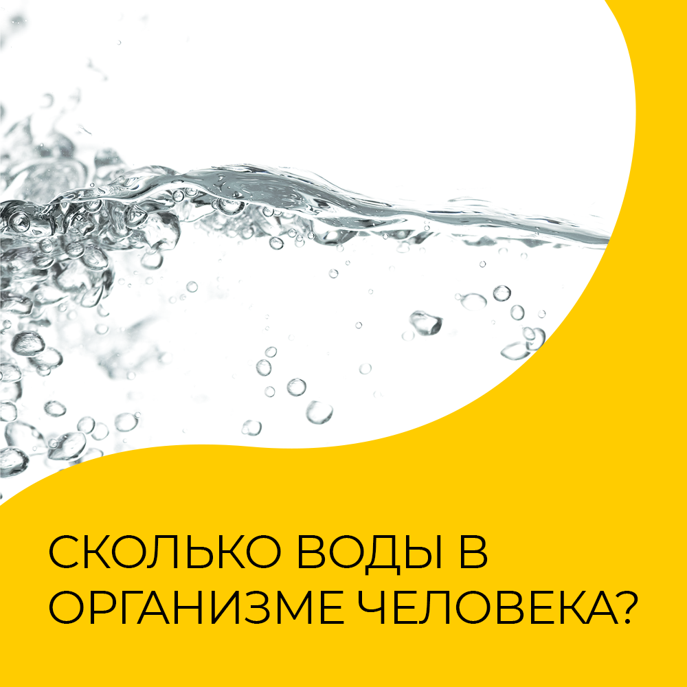 Сколько воды пить в день? Расскажем в нашем блоге