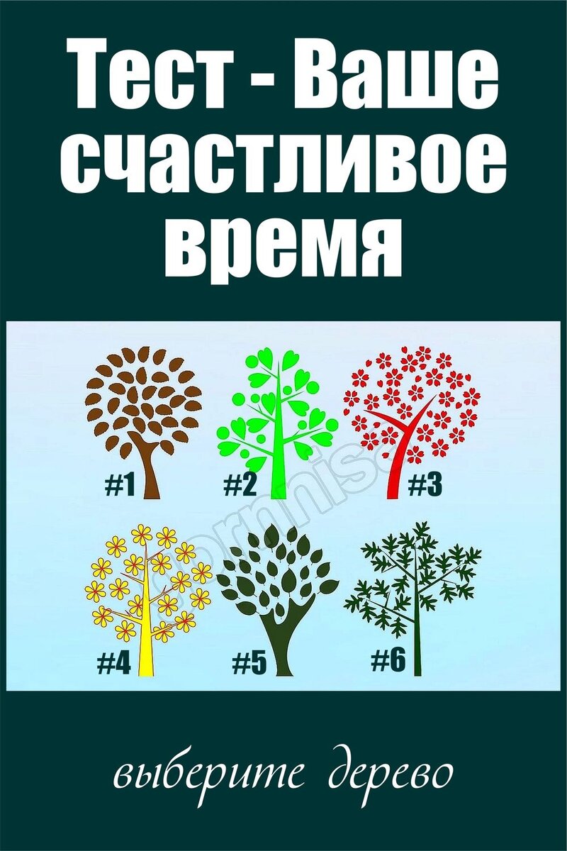    Тест — Ваше счастливое время — выберите дерево Pavlov A