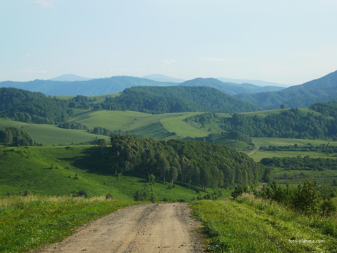 Фото районы алтайского края. Бащелак Алтайский край Чарышский район. Малый Бащелак Чарышский район Алтайский. Алтайский край Чарышский район село малый Бащелак. Чарышский район село малый Бащелак.