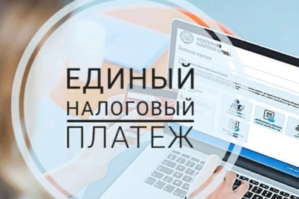 Единый налоговый платеж. Разбираемся, как и куда платить.