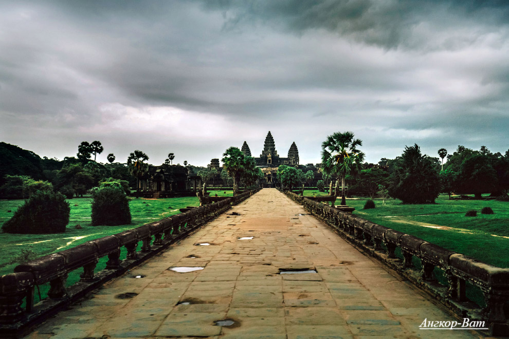 Изображение взято из открытого источника