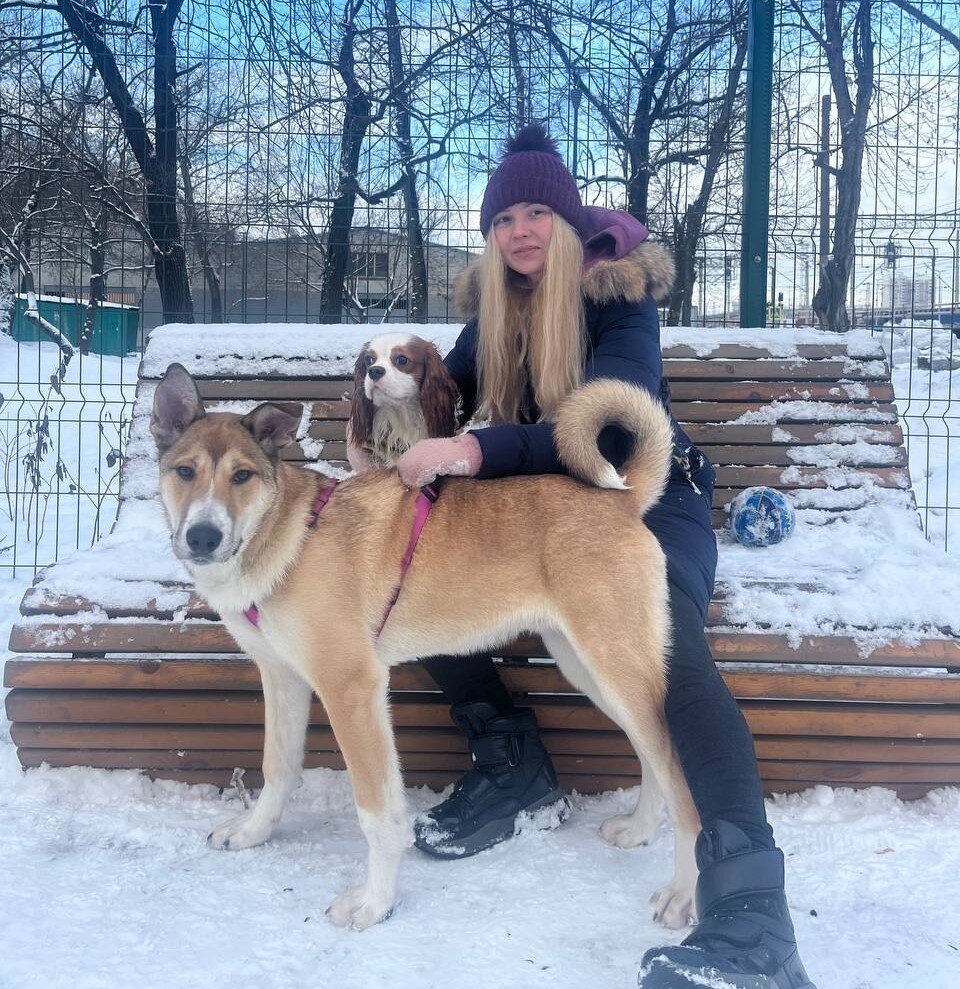 Мои собаки дают мне опору, чувство постоянства и стабильности. Они заставляют меня двигаться, развиваться, много наблюдать и учиться принятию. Они дают возможность мне думать, анализировать и принимать решения. 