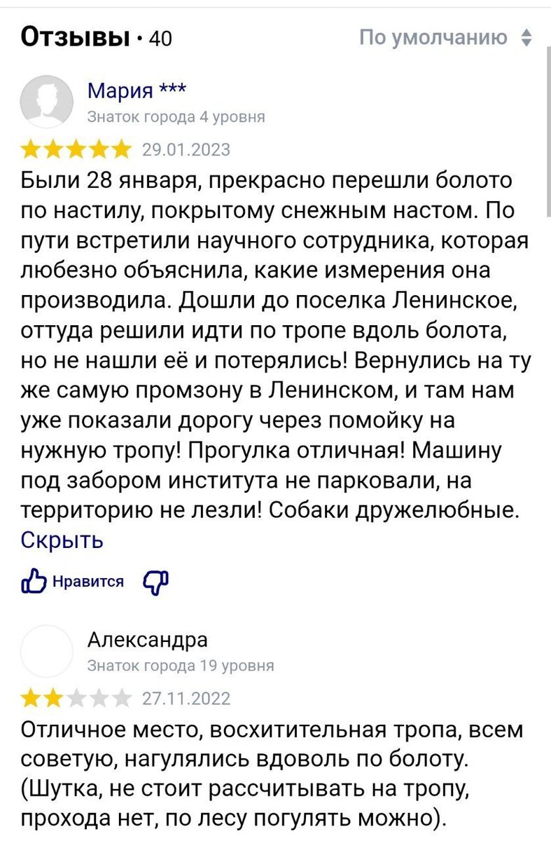 Болото Ламмин-Суо - тропа в Ленобласти, который нет | Ехала тележка -  путешествуем по Ленобласти и Карелии | Дзен