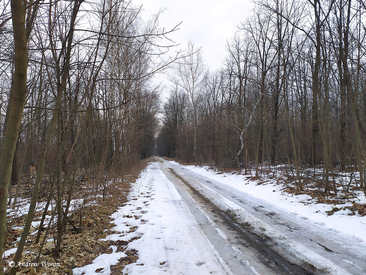 Просека к поселку Донлесхоз