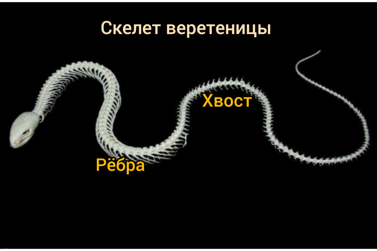 Январёв Леонид Иванович. Твой А. 4-й сезон