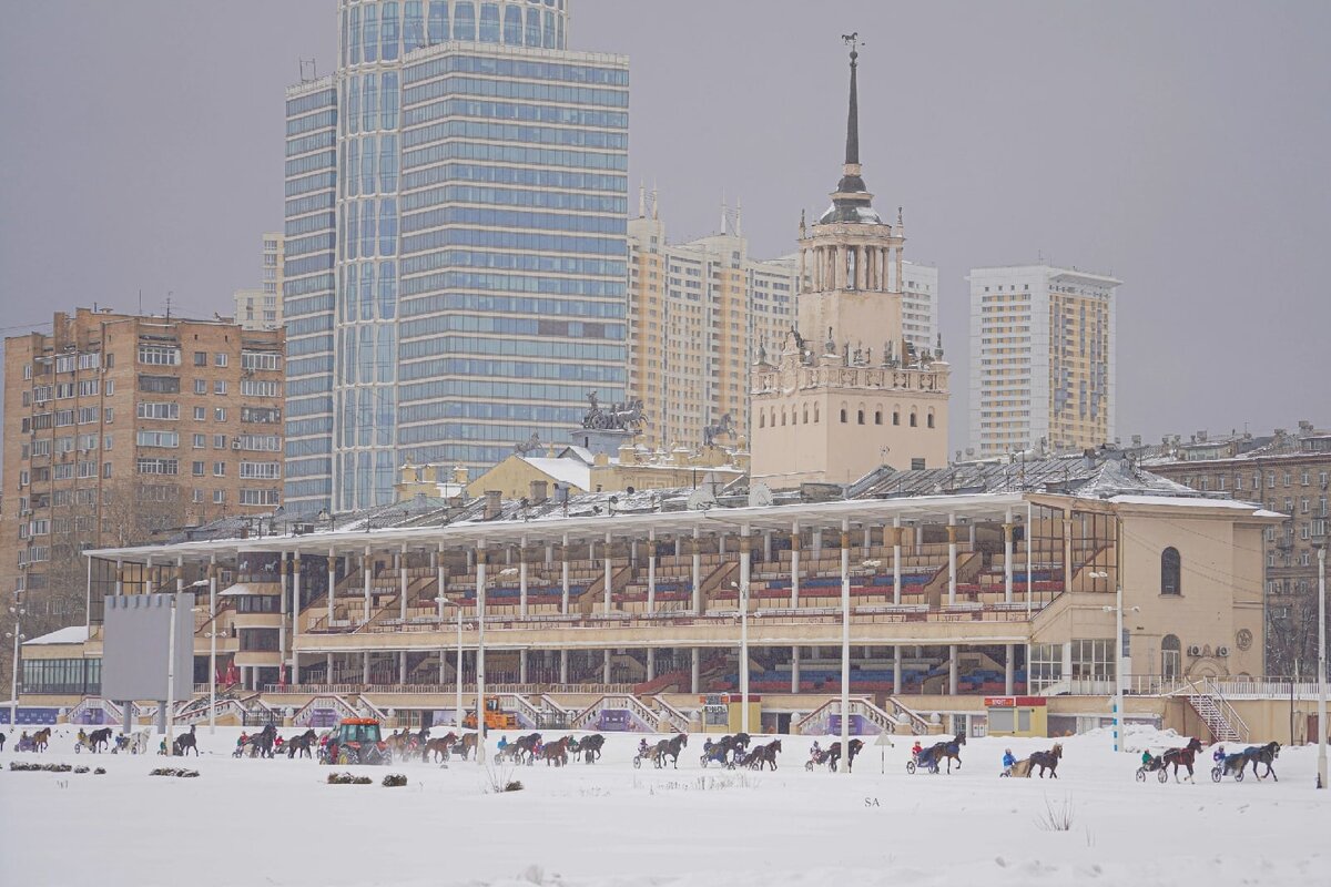 Фото взято из открытых источников