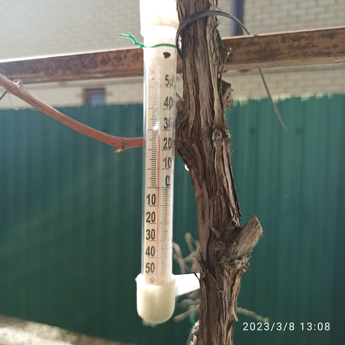 На солнышке очень даже кайфово