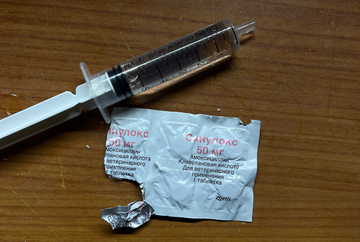 Антибиотик в таблетках и вода 