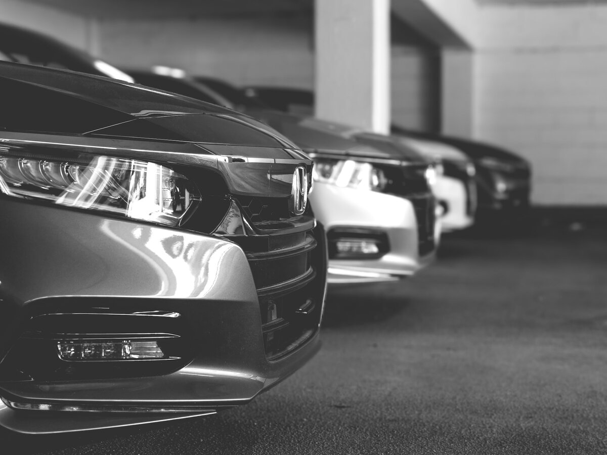 Фото: Unsplash