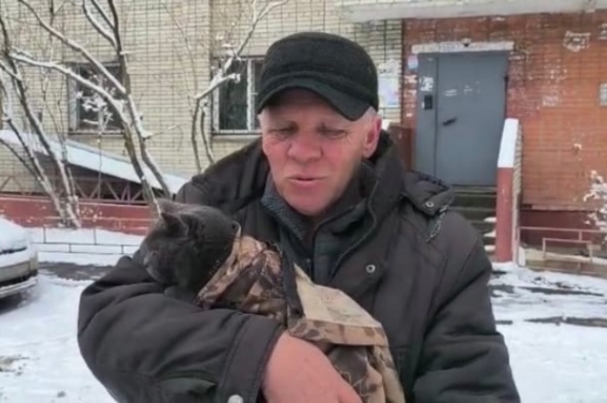    Кошку, просидевшую на дереве несколько дней, спасли в Хабаровске