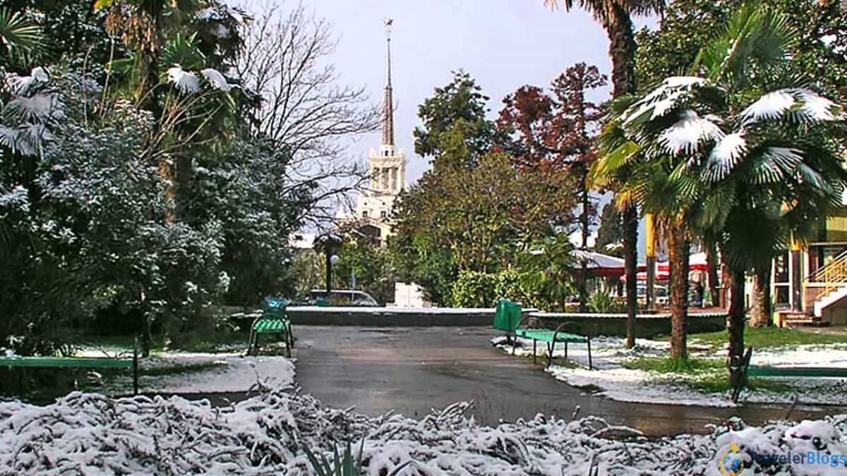 сочи в декабре фото туристов