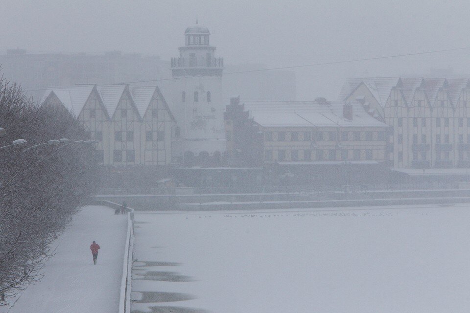     Похоже, нас снова ждет метель.  Александр Подгорчук