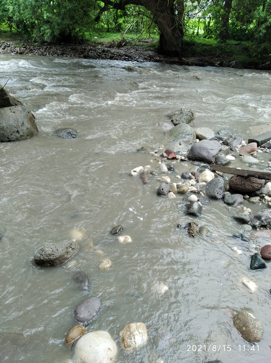 Мутная вода в речке.