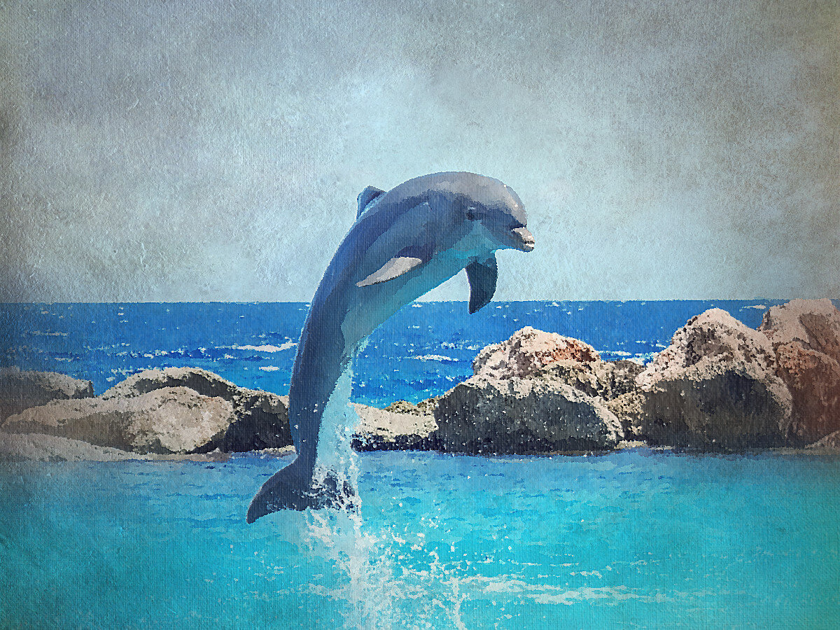 Для иллюстрации использована обработанная фотография с бесплатного фотостока pixabay.com