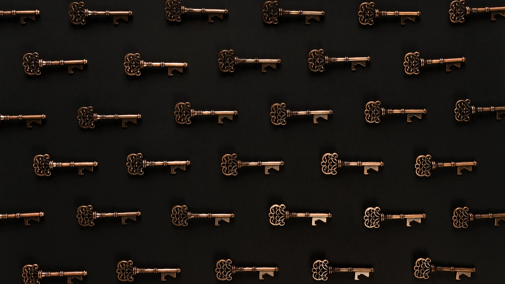 Иллюстрация: user5812043/freepik