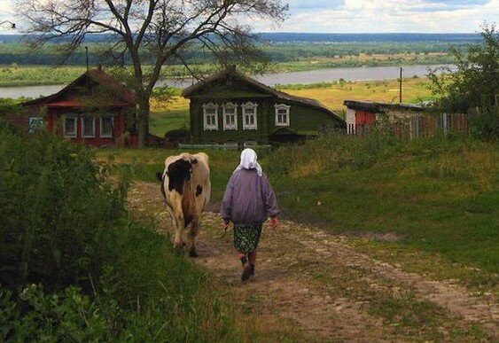 Уйти в деревню жить