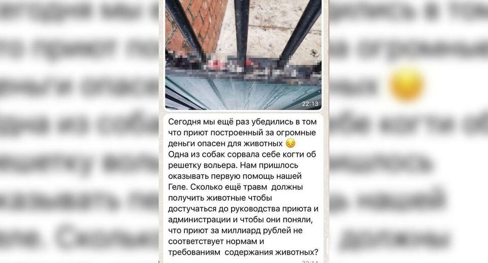 Скриншот из Instagram (соцсеть запрещена в России, так как принадлежит корпорации Meta, признанной экстремистской организацией)📷
