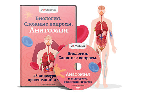 Почему биология сложная. Анатомия вопросы. Анатомия в вопросах и ответах Асфандияров. Сложный вопрос по анатомии человека с ответам. В А Шапкин биология видеоурок.