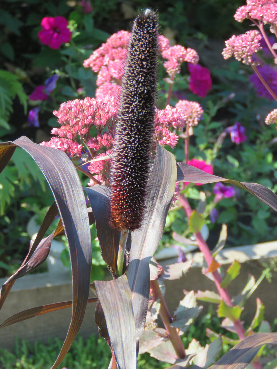 фото в гостях