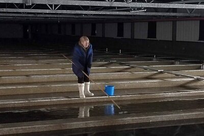    Рыбоводный завод в Сахалине ©Сайт Министерства по рыболовству Сахалинской области