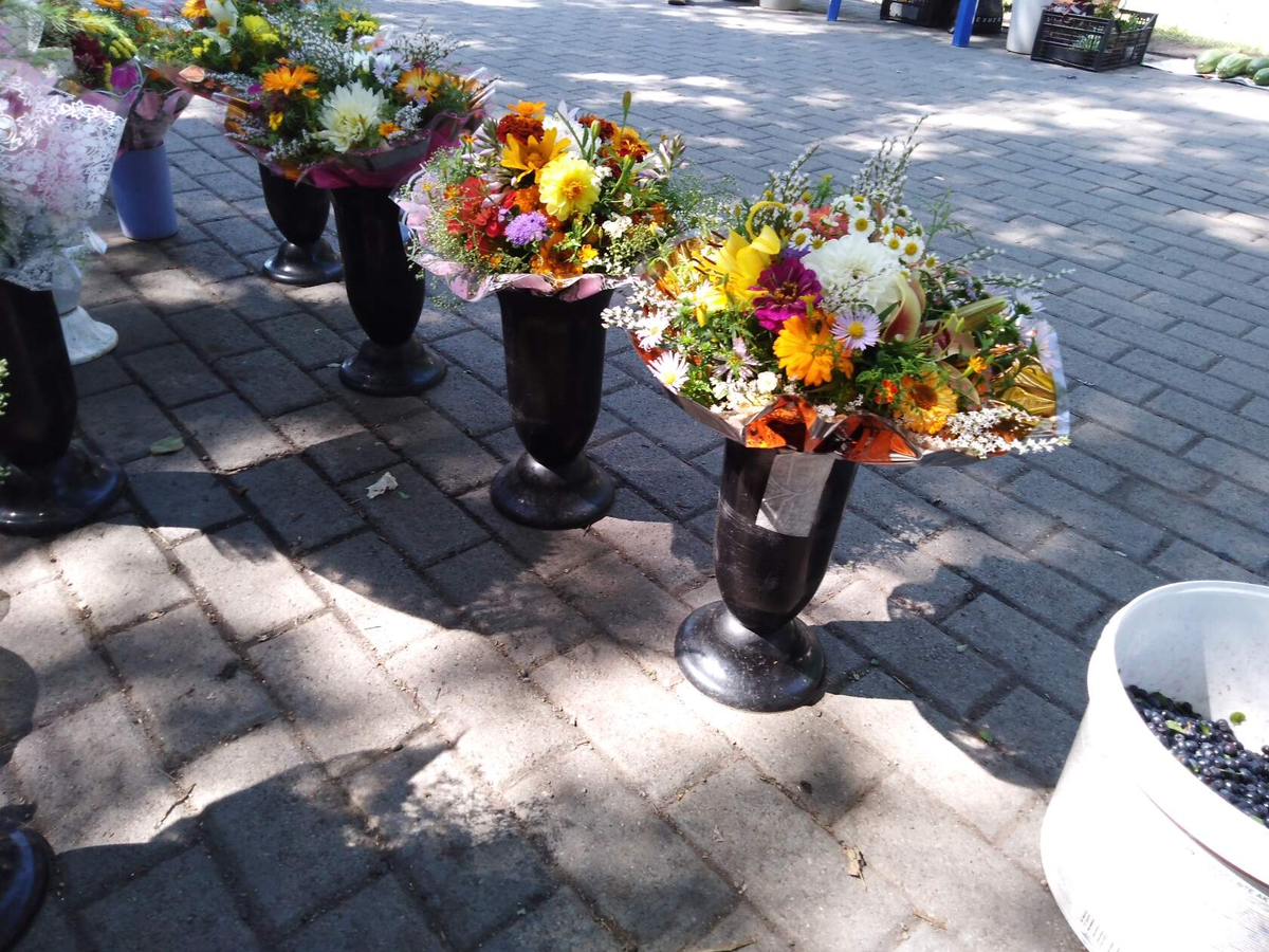 Фото  автора .