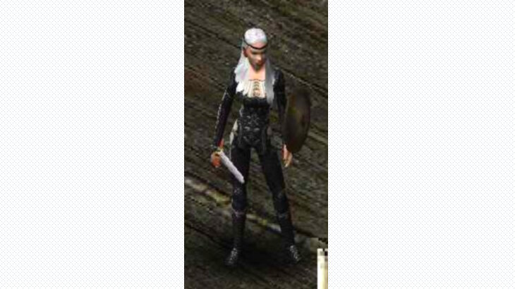 Дама-рыцарь